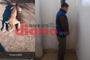Monte Quemado: Tranqui el gatito, mató a un puma a tiros, lo publicó en redes y terminó detenido