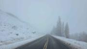 Complicaciones por la niebla: rutas de Neuquén y Río Negro con poca visibilidad este miércoles, ¿qué pasa en el Alto Valle?