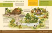 Infográfica: Las consecuencias de la minería