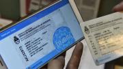 Licencia de conducir: implementan sistema de cédula digital para personas jurídicas en empresas