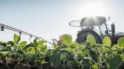 Qué impacto tendría en la recaudación la reducción permanente de retenciones agropecuarias