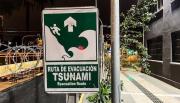 Alerta de Tsunami en Chile: evacuaciones en algunas zonas y aviso sonoro en Iquique