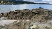 Un acto de perdón por una grave infracción en una bahía exclusiva de Villa La Angostura: qué pasó en la costa del Nahuel Huapi