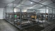 El lado oscuro de Alligator Alcatraz: ordenan revelar los secretos del temido centro de reclusión de migrantes