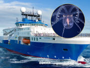 El CONICET lidera una exploración histórica en Mar del Plata