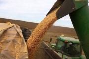 El Gobierno oficializó la baja de retenciones para granos y carnes: cómo quedan las alícuotas