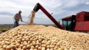 El Gobierno nacional oficializó la baja de retenciones para granos y carnes