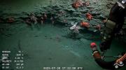 Video e imágenes: Inéditos hallazgos en la expedición del Conicet a un cañón submarino de Mar del Plata
