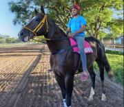 Agosto, el mes en que se encienden los motores rumbo al Gran Premio “Batalla de Tucumán”
