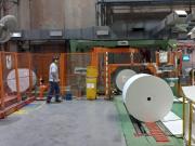 Celulosa Argentina frenó la producción en dos plantas y busca un socio que entre al negocio