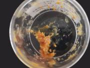 Finalmente identificaron qué es el misterioso regalo a los dioses de 2.500 años de antigüedad