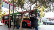 Una billetera virtual reintegra hasta 35% del pasaje de transporte público en pesos o Bitcoin