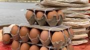 Precios del queso blanco y huevos en Caracas: montos al 31 de julio