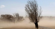 Suspenden las clases en tres departamentos sanjuaninos por el alerta meteorológica por Zonda