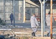 Desde una cárcel de Neuquén traficaban drogas y distribuían material de abuso sexual infantil