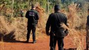 Apareció un hombre mutilado en una plantación en Misiones: estaba semidesnudo y le faltaban los ojos