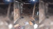 Entraron pumas a una escuela rural de Chubut: 40 gallinas muertas y miedo a que lastimen a los chicos