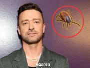 Justin Timberlake reveló que padece la enfermedad de Lyme