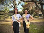 VIDEO: Belleza, cultura y producción: Chicoana vive la Fiesta Provincial del Tabaco con orgullo y tradición