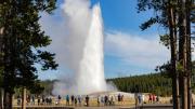 Las terribles quemaduras que sufrió un adolescente al caer en fuente termal del Parque Yellowstone