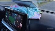 Starlink gratis en tu carro: disfruta este servicio de internet en EEUU mientras estás en movimiento