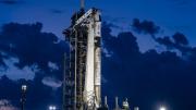 Científicos argentinos investigarán semillas de maní que viajarán al espacio en una misión tripulada por la NASA y Space X
