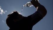 Se espera una ola de calor en agosto: advierten por temperaturas récord en Argentina