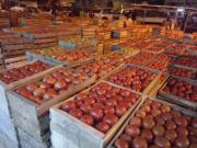Tomate, cebolla y arvejas a precios asequibles; mientras que el plátano y la papa se mantienen altos