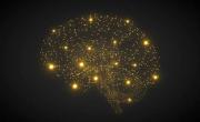 Cerebro de oro: estos son los´5 hábitos que te vuelven más inteligente y creativo, según expertos