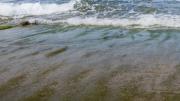 El misterio de las figuras que aparecieron en una playa tras el alerta de tsunami