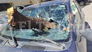 VIDEO IMPACTANTE. Viento Zonda: una rama gigante destruyó el parabrisas de un auto que salía de un estacionamiento