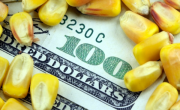 Cómo impacta el aumento del dólar en el campo: maíz, soja y lo que se espera