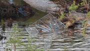 Inundaciones en Texas: arrojan luz sobre errores y fallas que obstaculizaron alertas y gestiones de rescate