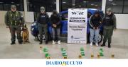 Modificaron el techo de una camioneta para ocultar más de 8 kilos de cocaína