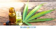 Un estudio demostró que usar cannabis para dormir podría no tener los efectos esperados