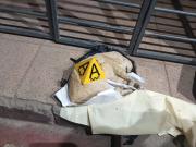 Gatito muere dentro de un cajón que fue enviado como encomienda de Cochabamba a Oruro
