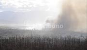 El viento Zonda provocó una oleada de incendios de pastizales en Salta: las zonas más críticas