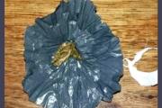 Los detenidos de la Comisaría Sexta recibieron una lluvia de marihuana