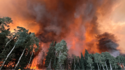 Declaran estado de emergencia en Utah por aumento de incendios forestales: 114,000 acres destruidos