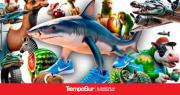 El fenómeno “Brainrot” y la sobreestimulación en las infancias
