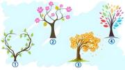 Test de personalidad: elegí un árbol y descubrí en qué etapa de tu vida estás