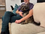 De la adopción al cine: la increíble historia de Ozu, el perro de James Gunn que se convirtió en Kripto