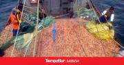 Hubo acuerdo y vuelven a operar los buques pesqueros