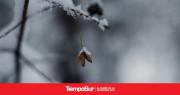 Pronóstico del tiempo: Temperaturas bajo cero y lluvia para hoy