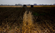El agro proyecta ingresos por u$s 28.800 millones extra hacia 2035