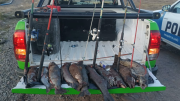 Operativo en Añelo: secuestraron más de 10 truchas y elementos de pesca