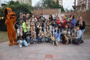 VIDEO. Una tarde de mimo y ladridos: los yorkies del NOA tuvieron su merecida fiesta