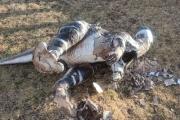 Vandalismo en el Camping Municipal de Villa El Chocón: dañaron instalaciones y figuras de dinosaurios