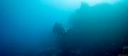 LA FALTA DE OXÍGENO EN LOS OCÉANOS AMENAZA A LOS PECES