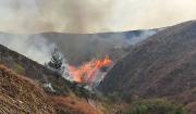 Incendio en Sama: Alcalde de Tarija proyecta que hasta este martes se aplaque el fuego